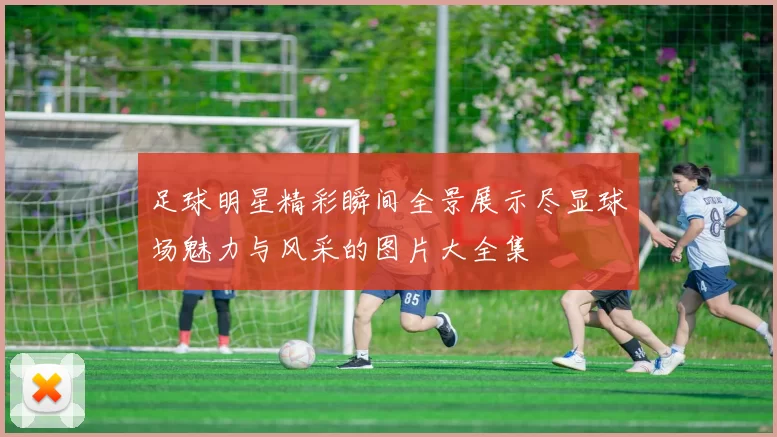 足球明星精彩瞬间全景展示尽显球场魅力与风采的图片大全集