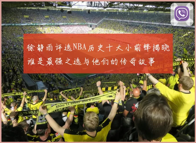 徐静雨评选NBA历史十大小前锋揭晓谁是最强之选与他们的传奇故事