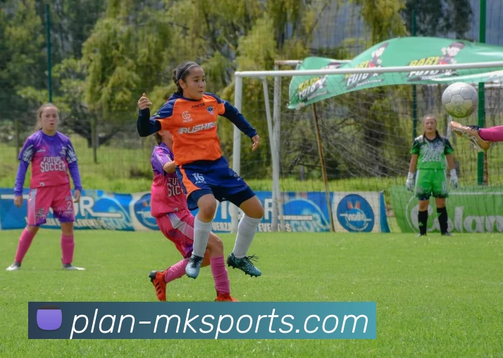 MK体育服务体系